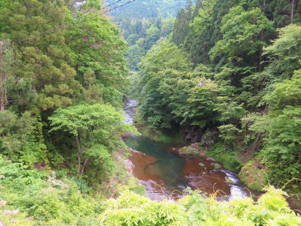 温泉 清風荘